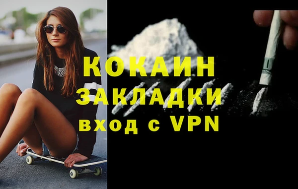 стаф Магас