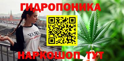прущие грибы Кимры