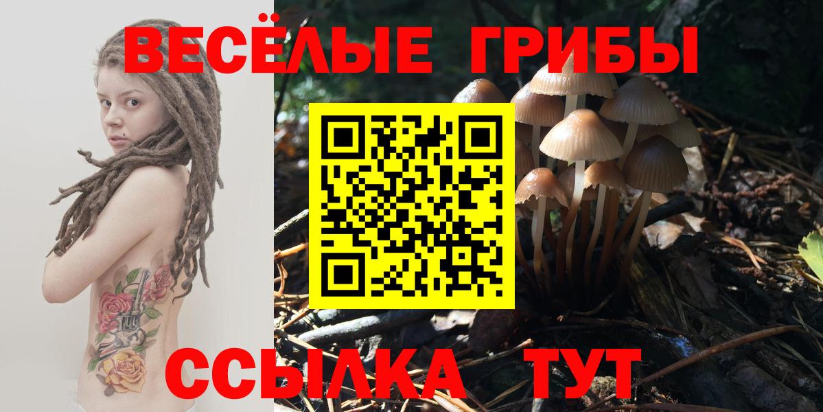 Псилоцибиновые грибы GOLDEN TEACHER Электросталь