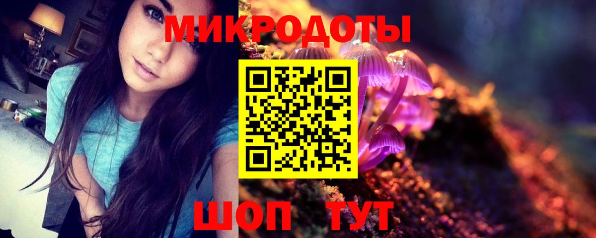 Псилоцибиновые грибы Cubensis  что такое   Вход с VPN  Электросталь  Псилоцибиновые грибы прущие грибы 