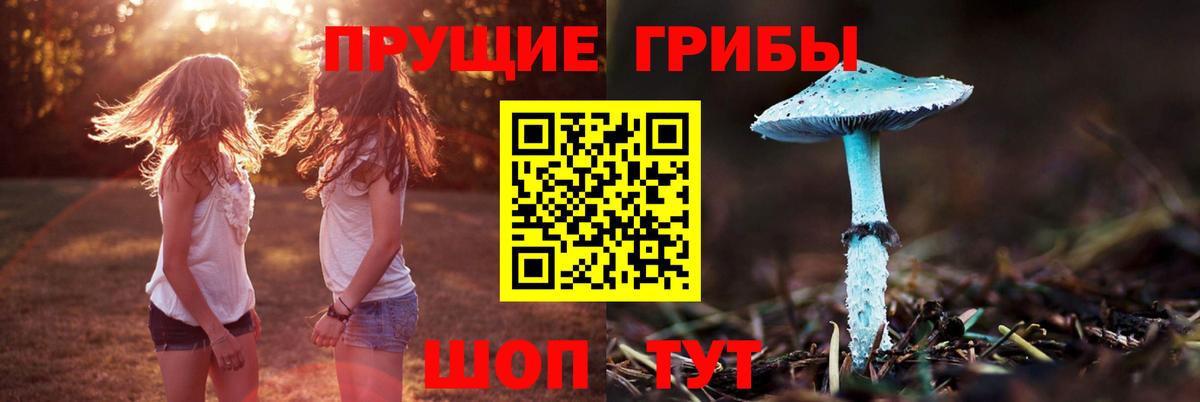 Галлюциногенные грибы MAGIC MUSHROOMS Электросталь