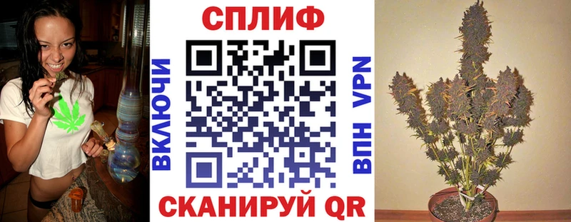 Конопля гибрид МЕГА ТОР Электросталь